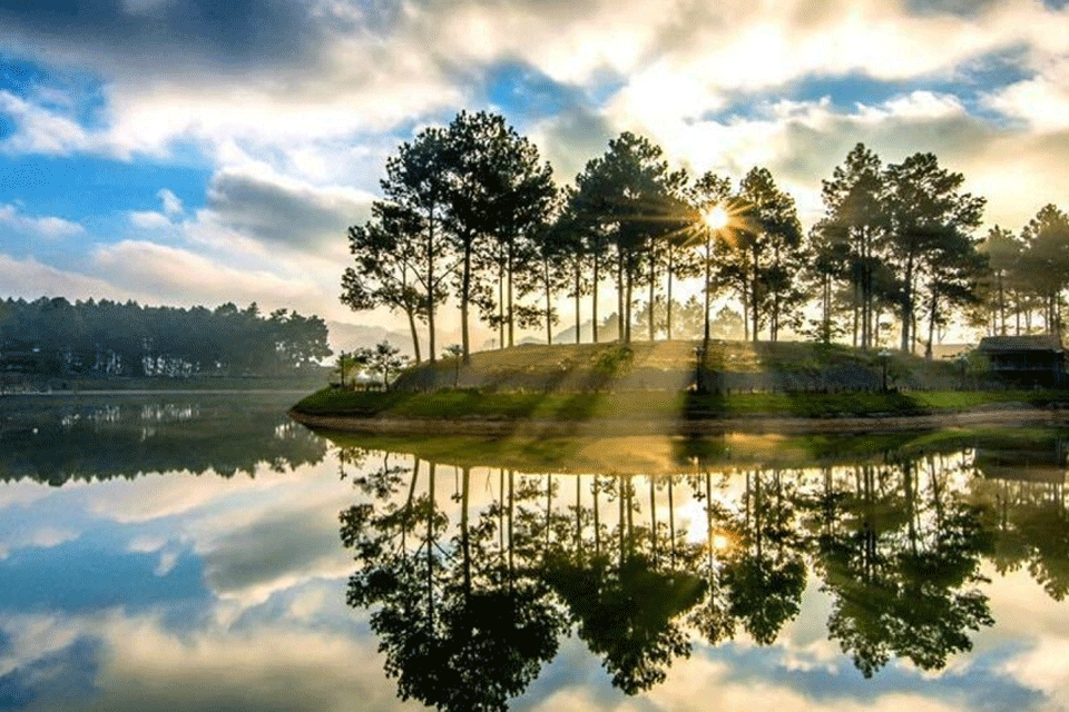 Rừng thông bản Áng