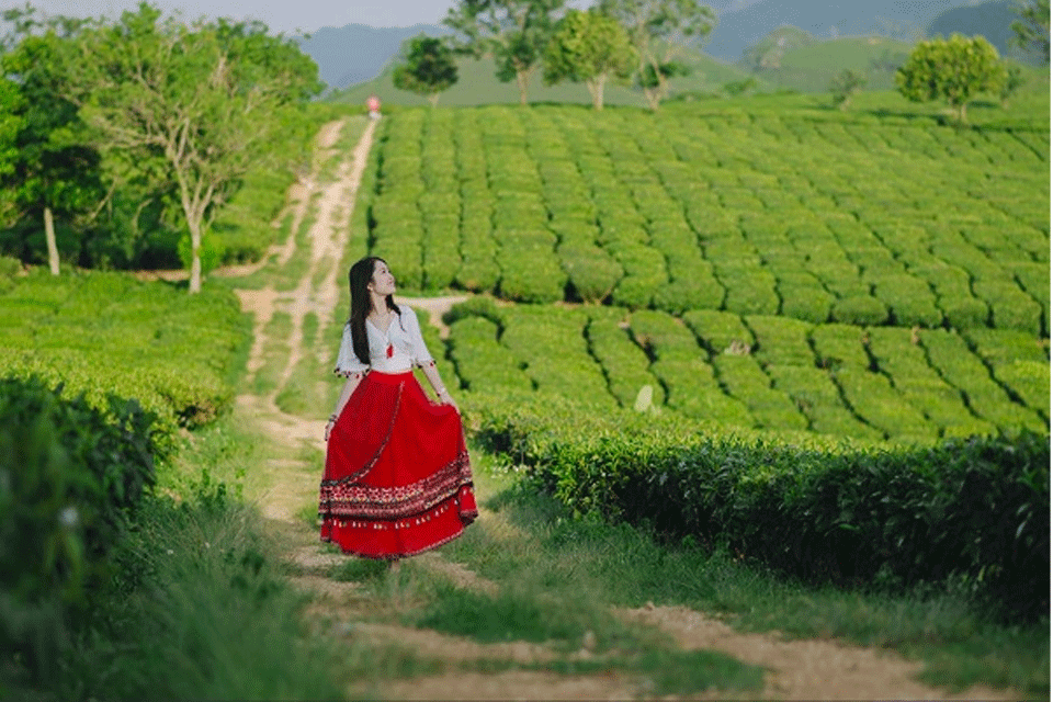 Đồi chè Trái tim