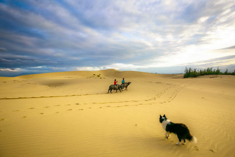 HÀ NỘI - NHA TRANG - NINH THUẬN