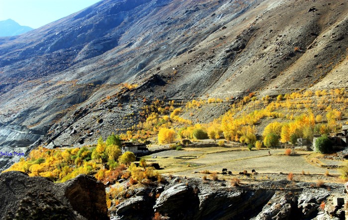 TOUR DU LỊCH LADAKH TỪ HÀ NỘI SÀI GÒN -CHINH PHỤC TIỂU TÂY TẠNG TRÊN ĐẤT ẤN 